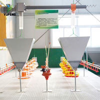 Équipement d'élevage de poulets de chair en batterie au sol, machine automatique en métal et plastique pour poulets de chair