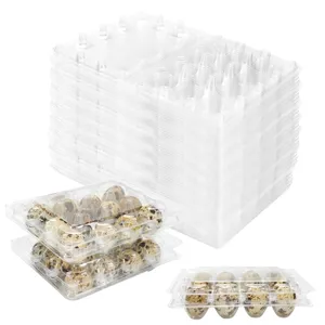 Emballage de conteneurs jetables d'oeufs de caille de plateau d'oeufs de caille en plastique transparent de 12 cellules pour des oeufs de caille