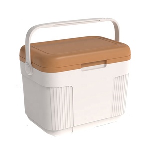 Mini boîte de refroidissement de Camping extérieure personnalisée de 22l, boîte de refroidissement Portable à poignée en plastique étanche