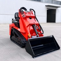 Pièces de moteur, pompe et engrenages qualifiées pour mini-chargeuse compacte, conformes aux réglementations d'émission Euro5 et EPA