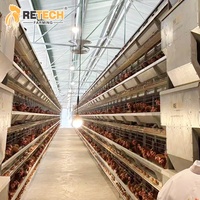 Cage à batterie automatique de type H pour volailles, poulets pondeuses, système de collecte automatique des œufs, équipement d'élevage