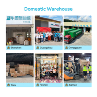 Transport maritime DHL UPS Expédition de fret express Expédition de fret Drop Sourcing Cargo Dropshipping gratuit 20GP 40HQ 45 HQ Agent de transport de conteneurs