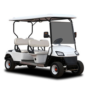 Carrito de Golf Mini para Recreación, Turismo, Paseos por la Ciudad, Fiestas, Bares, Uso en Pub - Vehículo Eléctrico de 3-4 Plazas - Product Image 1
