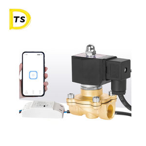 WiFi intelligent contrôler à distance la vanne sur le téléphone portable WIFI électrovanne en laiton vanne d'eau - Product Image 3