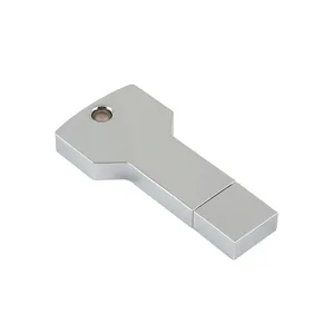 Forma chiave Logo personalizzato USB 64 GB 2tb Flash Drive