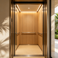 Ascenseur de villa à tension adaptable pour les maisons et villas africaines souffrant d'une alimentation électrique instable – Ascenseur domestique