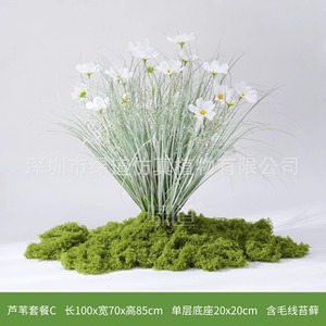 Plante artificielle de roseau Greenway 30-100cm, base fleurie, décoration intérieure, style naturel, ornement pour salon - Product Image 5