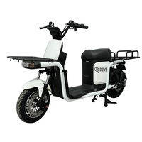 Vélo électrique 1000W 60V avec cadre en acier et batterie 60V V8, idéal pour la livraison de marchandises et de repas - Vente en gros directe usine Chine 2026