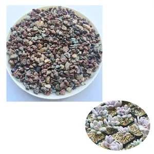 Used for paving and mixing soil gardening rainbow stone maifan stone for succulent plant lava pumice stone