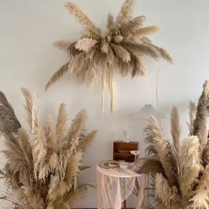Vente en gros de petites pampas naturelles pour décoration de mariage, roseau à fleurs séchées, herbe de <span class=keywords><strong>pampa</strong></span> - Product Image 5