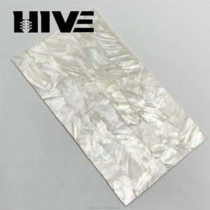 HIVE Wholesale Exquisite Abalone <strong>Shell</strong> Sheet Decorative White <strong>Shell</strong> Board for Guitar Decoration - Product Image 4