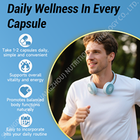 Capsules de soutien pour la neuropathie chez l'adulte OEM, acide alpha-lipoïque, vitamines B, 60 unités, compléments alimentaires, santé des nerfs, antioxydant