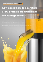 1200W Professionele Niet Nodig Gesneden Stukken Kauwen Brede Toevoergoot Roestvrijstalen As Koude Pers Commerciële Juicer Machine