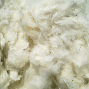 Huesca de Algodón Blanqueado para Hilado - Antibacteriana, Ecológica y Transpirable, Longitud de Fibra 18-22mm - de Vietnam - Sra. Claire - Product Image 1