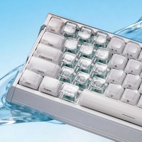 Keycaps transparents ABS+PC Lake Water profil MDA compatibles avec les interrupteurs MX Wooting 60HE V2/80HE/claviers mécaniques