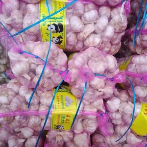 Calidad confiable 100% nuevo Material 5kg 10kg 25kg PE bolsa de malla verduras embalaje cebolla patatas ajo bolsas de embalaje - Product Image 5