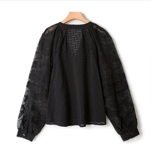 2024 Soring nouveau chemisier <span class=keywords><strong>noir</strong></span> à col en V pour femmes conception en relief transparence <span class=keywords><strong>haut</strong></span> à manches longues - Product Image 6