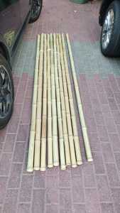 ไม้ไผ่ธรรมชาติสำหรับค้ำต้นมะเขือเทศและผัก ราคาขายส่ง จำนวนมาก - Product Image 6