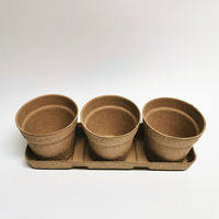 Pot à graines biodégradables en papier, 10 pièces, favorise la plantation de graines, plateau de culture à 6 cellules