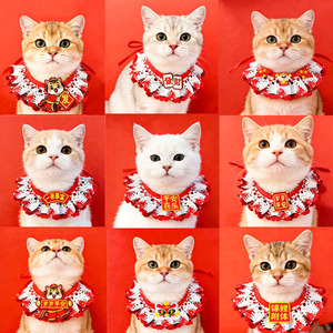 Collar Ichimori para Gatos, Cálido para Invierno, Nuevo Estilo, con Patrón de Cuadros de Colores, Calentador de Cuello para Gatos - Product Image 3