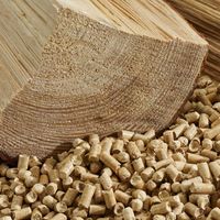 Meilleurs granulés de bois de haute qualité, prix bon marché, vente en gros du vietnam, prix d'usine, prêt à expédier