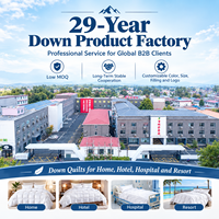 Couette en duvet d'oie 95% extra épaisse, hypoallergénique, douce, anti-évasion de duvet, 700+ FP, pour hôtel et maison, hiver, sur mesure, vente en gros, OEM, ODM