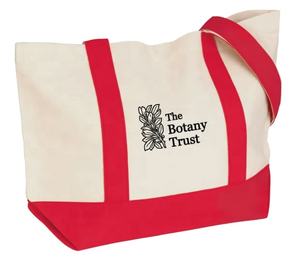 उच्च गुणवत्ता वाले कस्टम लोगो विज्ञापन प्रोमो मध्यम स्नैप टोटे बैग-स्नैक बंद के साथ पुनः प्रयोज्य कपास कैनवास खरीदारी बैग - Product Image 3