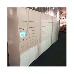 Casier en métal intelligent du fabricant Rangement de colis en acier à usage extérieur Serrure électronique Revêtement en poudre Armoire assemblée - Product Image 4