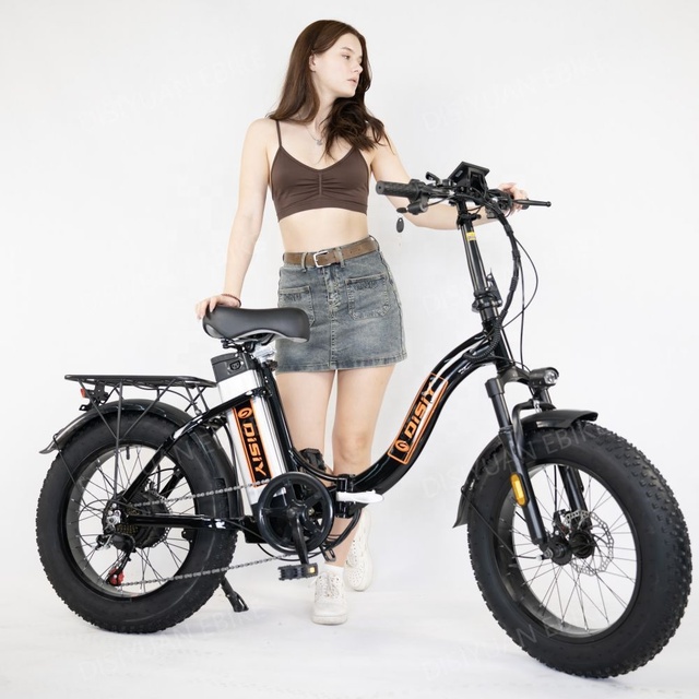 Factory's New Model Cycle Off-road Moped Bicycle Frame Road 1000w Rickshaw Electric City Bike