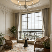 Ventanas de Doble Cristal Templado con Aspecto de Acero Estilo Crittall Retro, Marco de Aleación de Aluminio, Diseño Moderno de Mediados de Siglo, Certificación Energy Star, para Viviendas