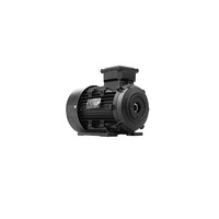 Moteur asynchrone triphasé à arbre interne 55 KW/75 CV à fil de cuivre pour machine de nettoyage haute pression - Offre Spéciale