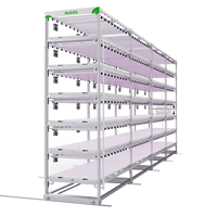 Système hydroponique vertical mobile innovant pour la culture commerciale de la laitue par Reinfa