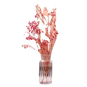 1pc北欧创意透明花瓶植物瓶花盆水培玻璃容器花台花瓶
