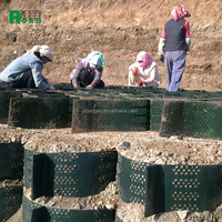 Grille de sol HDPE GeoCell pour murs de soutènement Construction routière Geocelda Geo Cell Protection des pentes en vente