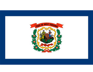 批发3x5ft英尺聚酯库存定制美国西弗吉尼亚州国旗 - Product Image 2