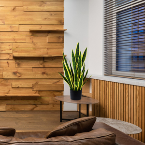 Plantas Artificiales Baratas Bossion Sansevieria con Maceta Negra, Planta Serpiente Artificial, <span class=keywords><strong>Lengua</strong></span> <span class=keywords><strong>de</strong></span> <span class=keywords><strong>la</strong></span> Madre <span class=keywords><strong>de</strong></span> <span class=keywords><strong>la</strong></span> Novia - Product Image 4