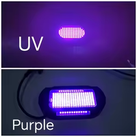 Kingshowstar 12V violet lumière UV noir lumière blanche lampe de poche UV lampe de roche pour camion voiture