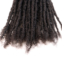 Extensions de Cheveux Humains Naturels en Gros, Aspect Doux et Naturel, Cheveux Crépus et Bouclés, Dreadlocks