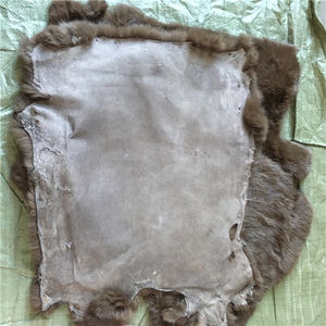 Bán buôn tấm Rex Thỏ lông <span class=keywords><strong>chinchilla</strong></span> - Product Image 5