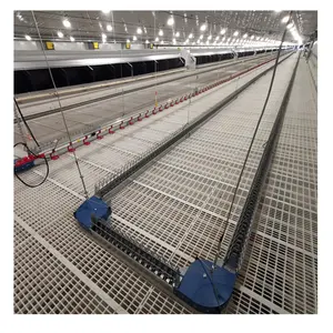 Broiler Parent Stock Hens Farming Chain Feeding System Breeder House Equipments Poultry Feeder Automatic Chicken Trough