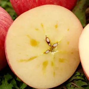 富士苹果供应商进口高档苹果中型苹果梨中国
