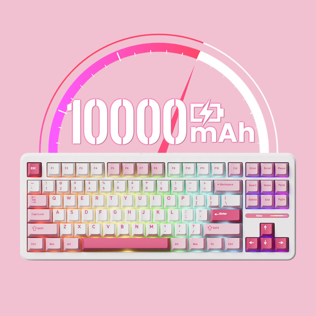 AKKO Prunus Lannesiana TAC87 OEM Mechanical Keyboard 80% TKL Layout 10000mAh Wireless for 5.0 RGB Backlit Gaming Keyboard