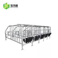 Équipement d'Élevage Porcin Fournisseur Usine Cages de Maternité et de Sevrage pour Porcs