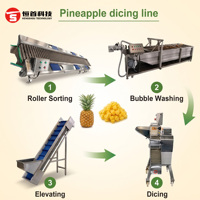 Industriële fruitverwerkingslijn, industriële groentewasmachine, emmerlift, transportband, ananas snijlijn