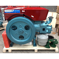 Motor Diésel de 4 Tiempos, 1 Cilindro, 13 HP, Refrigerado por Agua, Modelo Zs195 de Fábrica