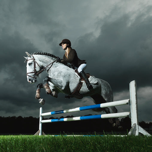 Blocs de saut en PVC de style occidental pour l'équitation Saut de <span class=keywords><strong>cheval</strong></span> et barrières Saut de selle de <span class=keywords><strong>cheval</strong></span> en vente Pferdesprung - Product Image 1