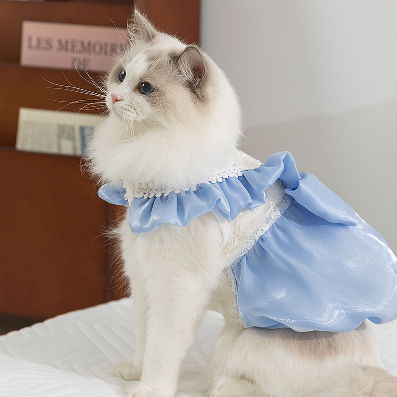 sachin and babi light blue dress Sanrio® Hello Kitty® Holiday Dress main image 0