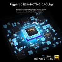 Amplificateur de casque portable HiFi avec décodage, sortie audio 3,5 mm, sortie Type-C DC, état neuf, protection OTP, neuf, matériau ABS