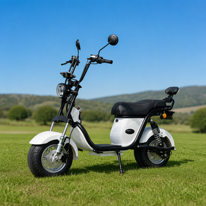 Scooter Eléctrico a Precio Económico, Shansu Citycoco 1000w, Scooter Tipo Motocicleta con Llantas Anchas para el Mercado Brasileño - Product Image 1