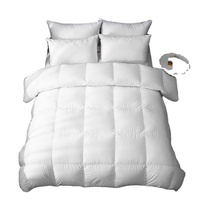 Ensemble de literie en forme de couette, épais et doux, OEM, personnalisé, pour hôtel, vente en gros,